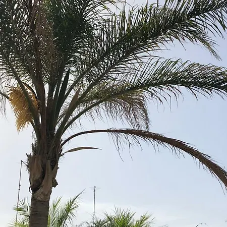 Casa Vacanze Il Veliero Appartamento Scoglitti